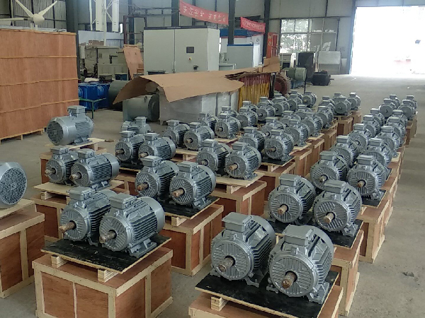 Low-Speed-Low-RPM-Permanent-Magnet-Generator2