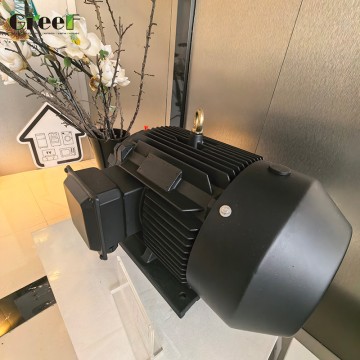 Permanentmagnet-Elektromotor mit niedrigem Strom und konstantem Drehmoment, breitem Drehzahlbereich für pharmazeutische Anlagen