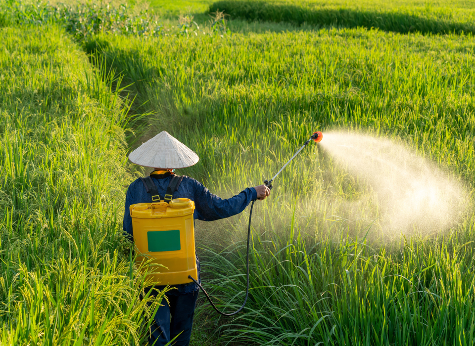 Pesticides