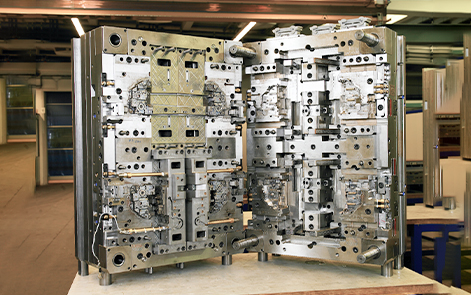 เชื้อรา