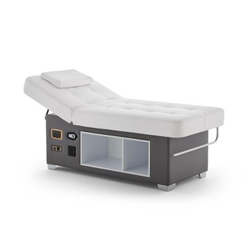 Electric Bed D-18 With Adjustable Backrest And Heated Mattress