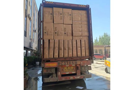 Mingshi Furniture a expédié un conteneur complet de lits de beauté électriques au Canada.