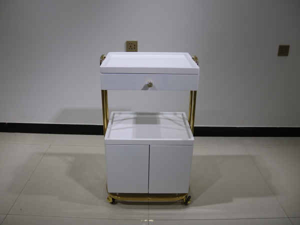 Storage cart (1)