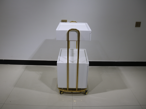 Storage cart (3)