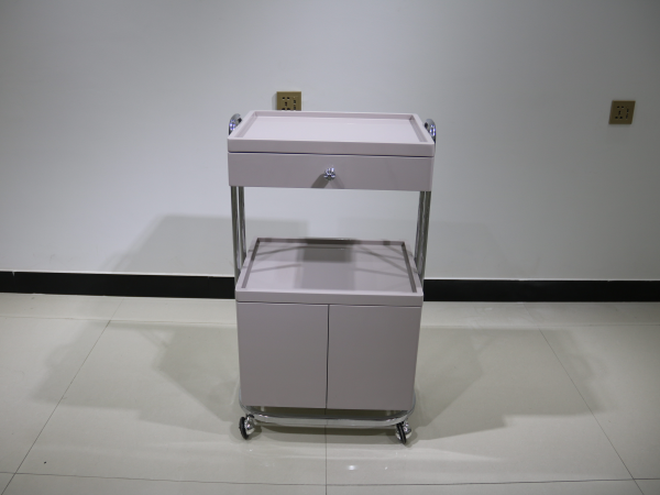 Storage cart (4)