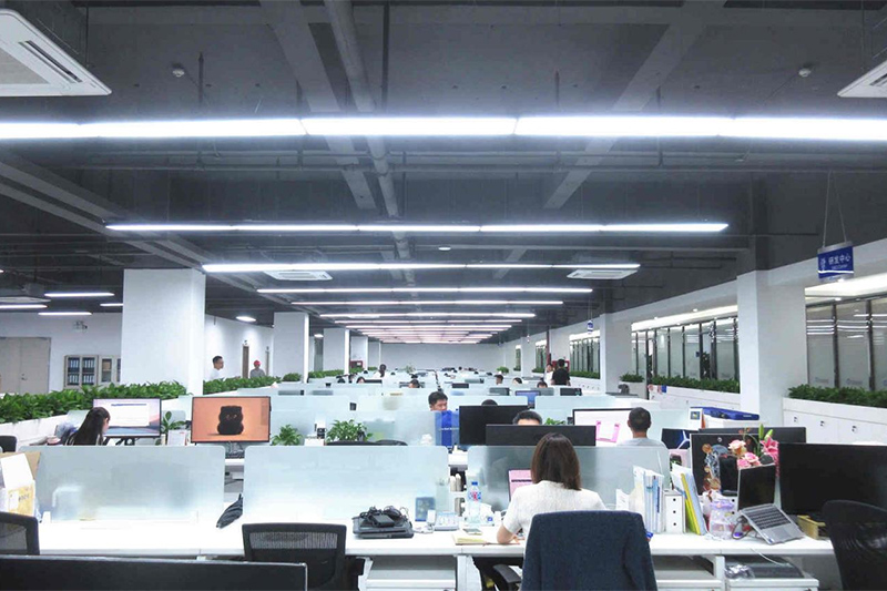 Company milestones and development strategy