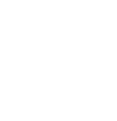 index-icon