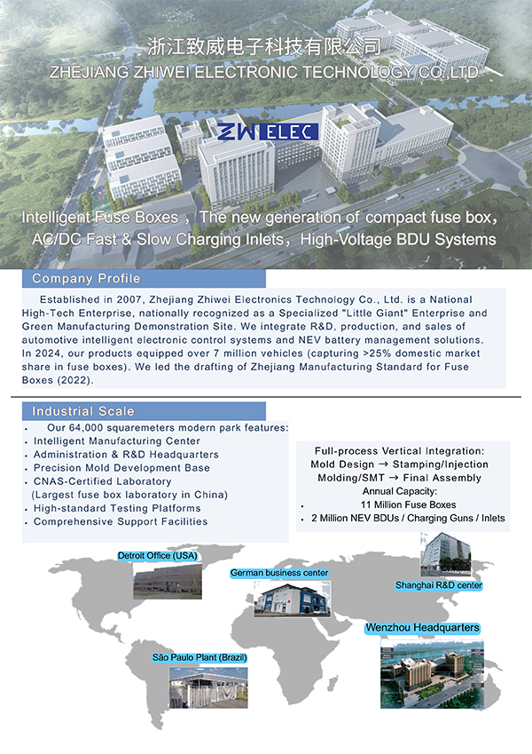 Brief introduction zwelec