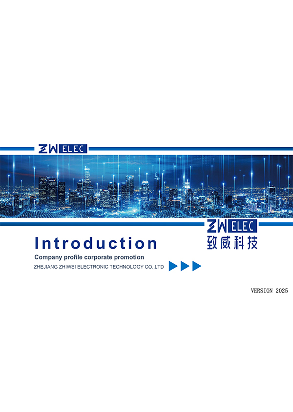 Zwelec presentation 2025