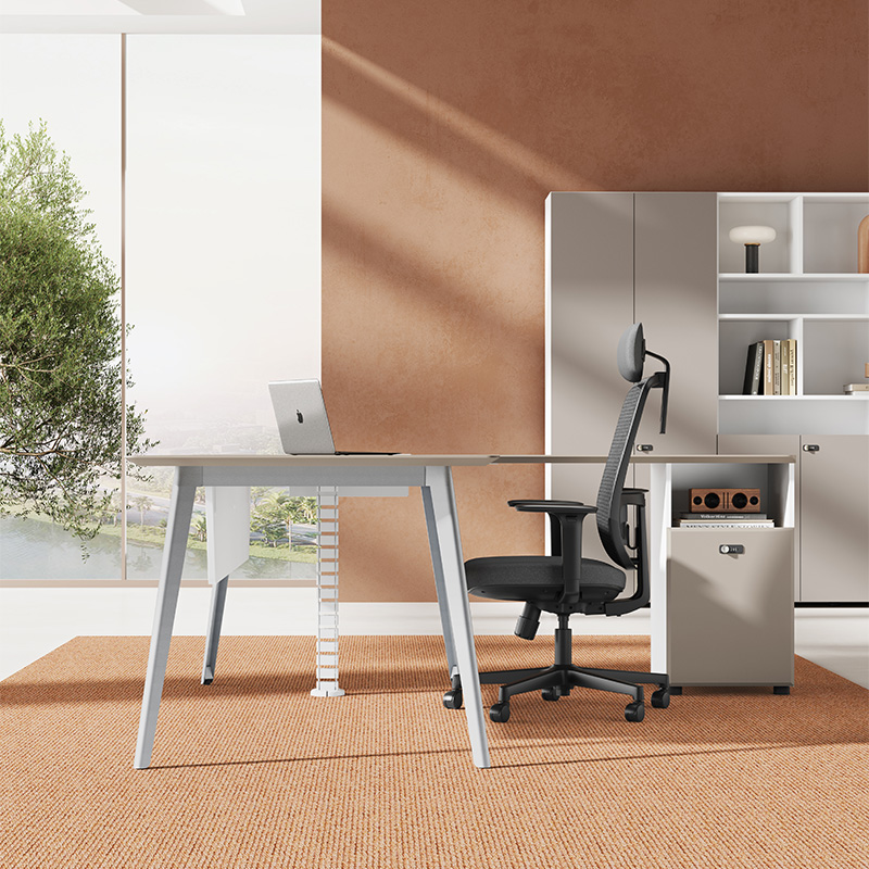 LINDOX Series Powder-Coated Executive Desk (3)