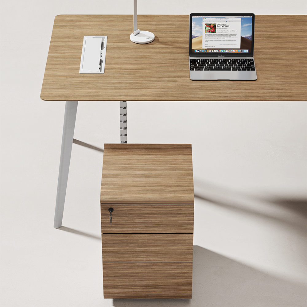 LINDOX Series Powder-Coated Executive Desk-3