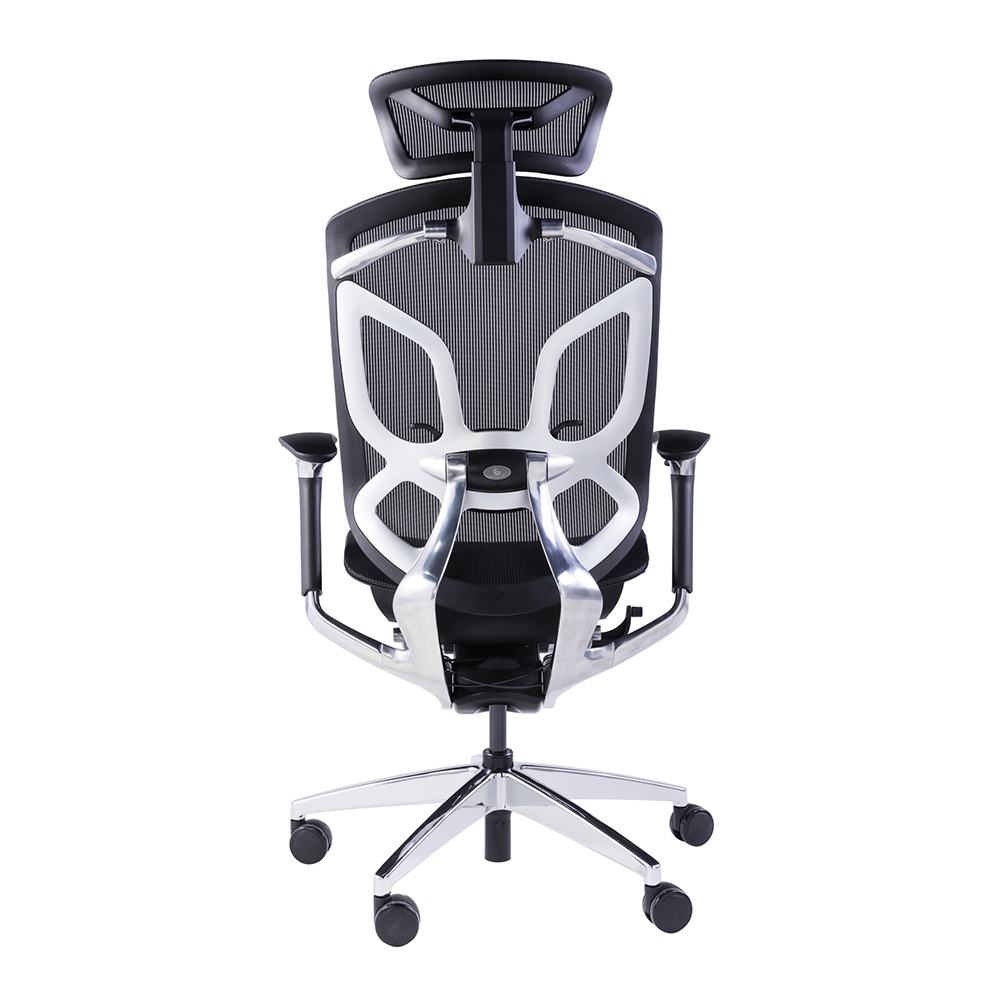 Dvary X HB GT-27BLK Silver Butterfly SD (4).jpg
