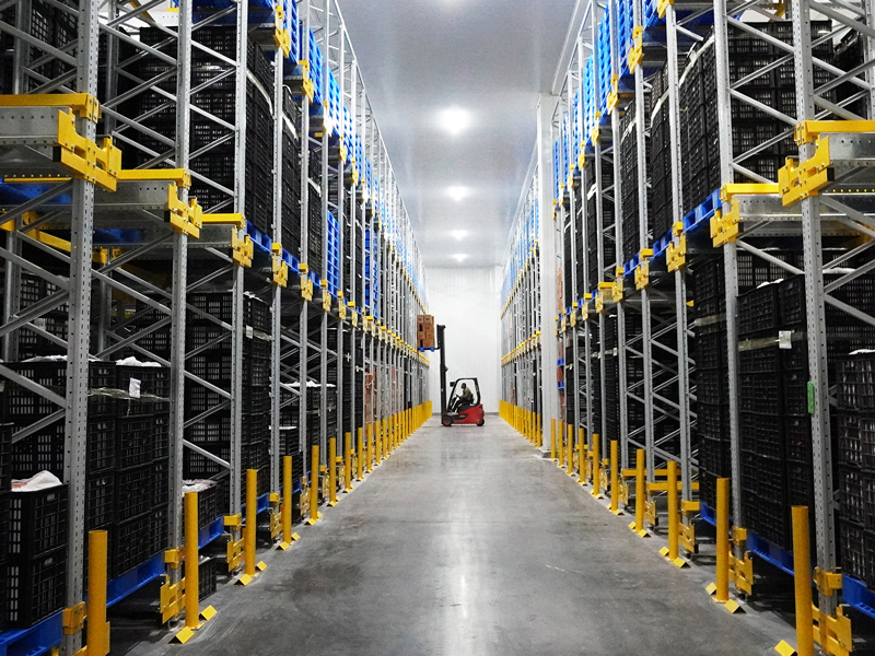 Smart-Cold-Chain-Upgrade-for-Agricultural-Products