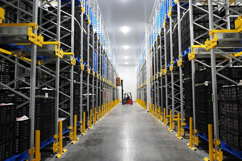 Smart-Cold-Chain-Upgrade-for-Agricultural-Products6