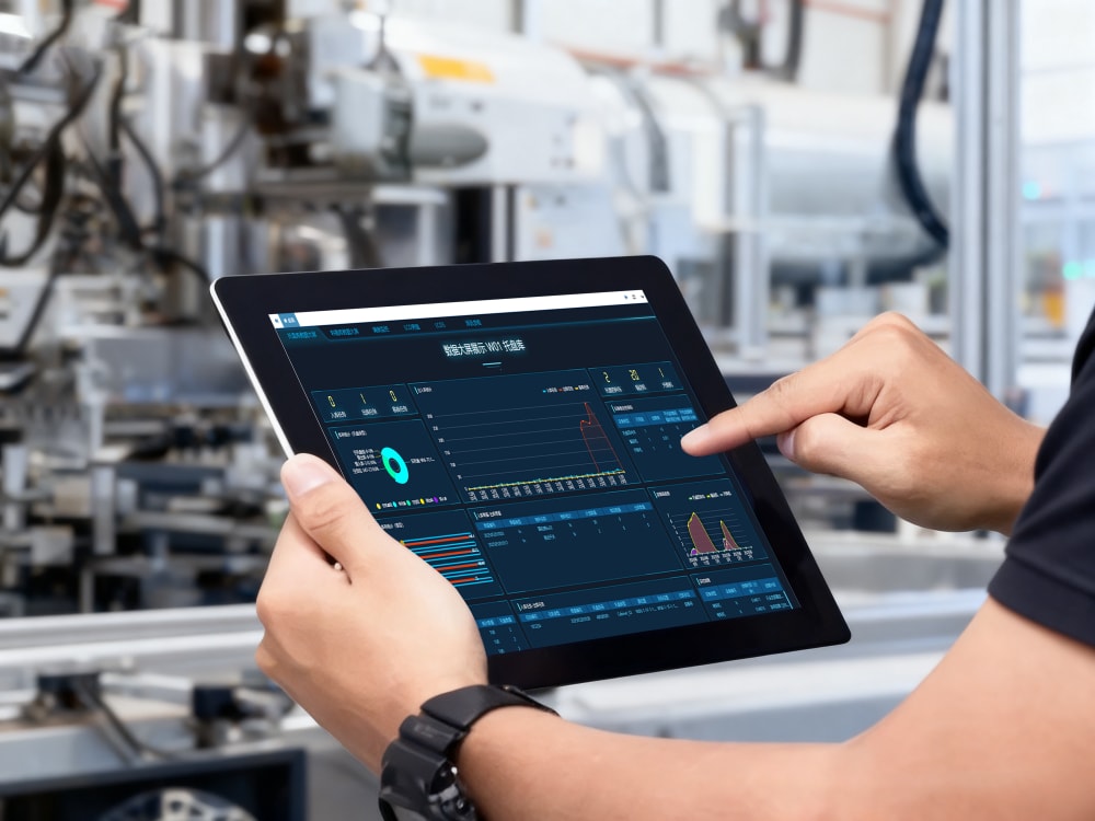 Warehouse Management System (WMS) detail
