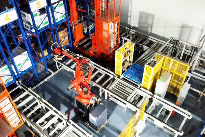 High-Density,-High-Throughput-Pharmaceutical-Warehousing4