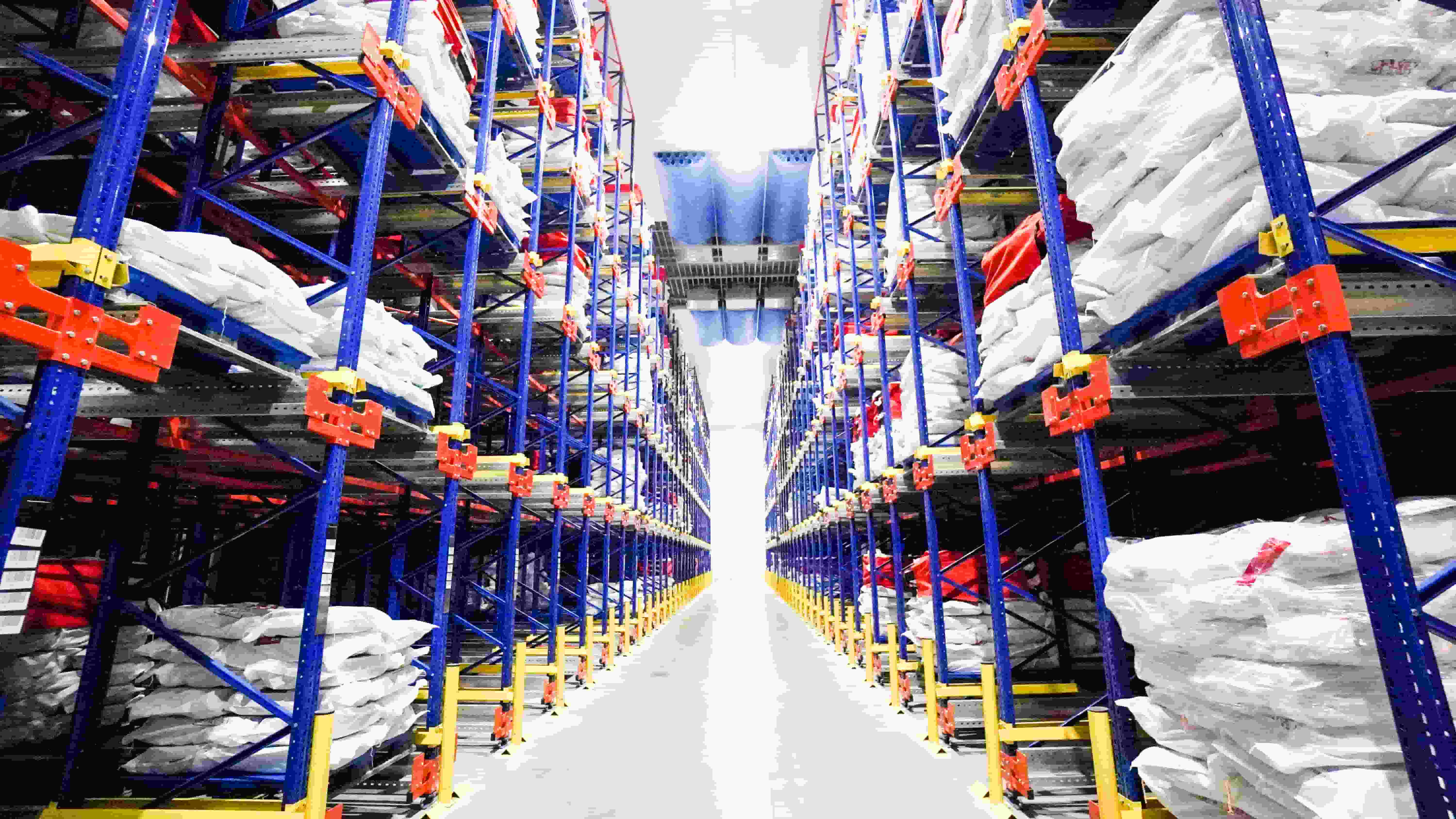 Pallet Shuttle Robot Solution for High-Density Cold Chain Warehousing