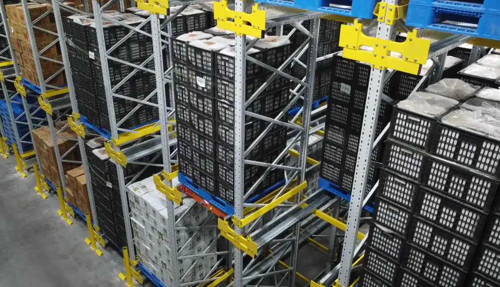 -25°C Frozen Food Cold Storage Project: Pallet Shuttle ASRS Case Study
