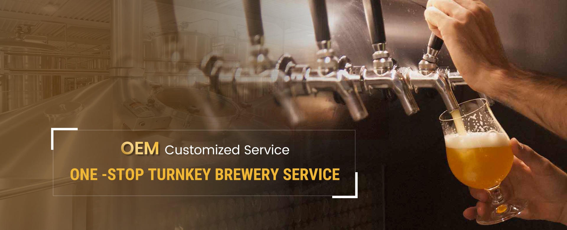 OEM Customized Service