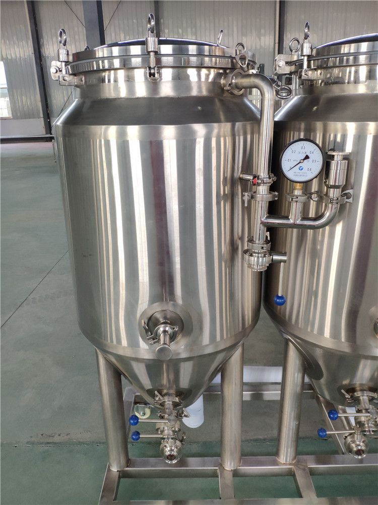 100L Small brew System (8)w8t