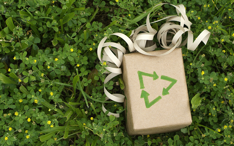 The Multi-Functional Green Package: A Sustainable Solution for the Future