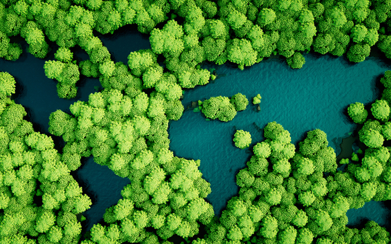 The Impact of Sustainable Packaging on the Environment