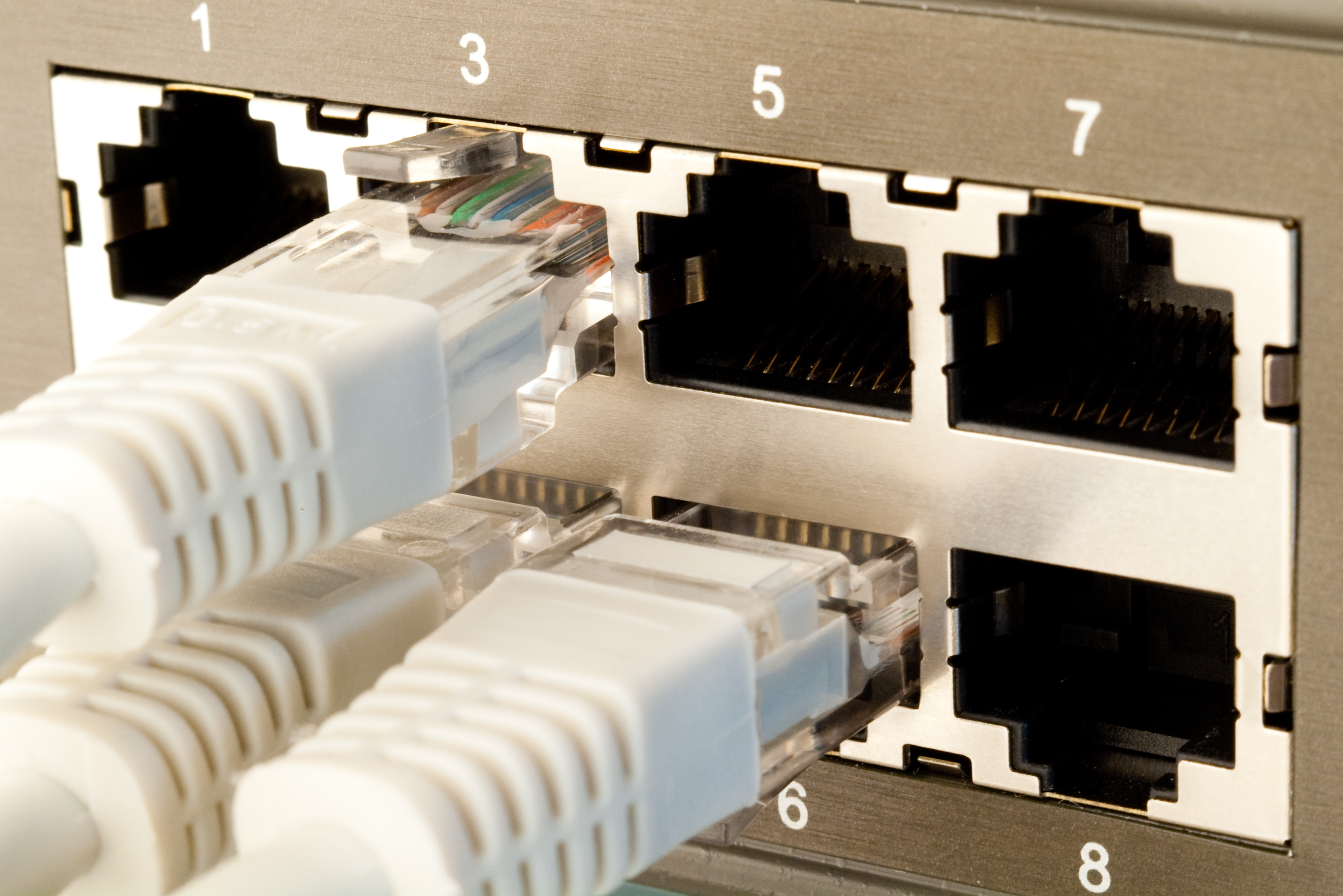 network-switch-and-patch-cables-2026-01-11-08-01-06-utc.jpg