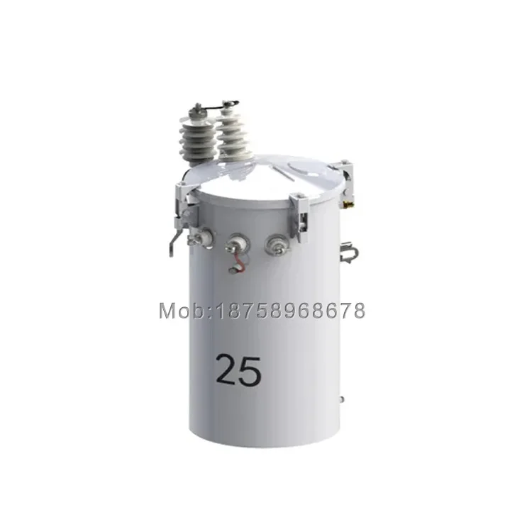 10kva Single Phase Pole Mounted Oil Immersed Electric Transformer Price for Outdoor