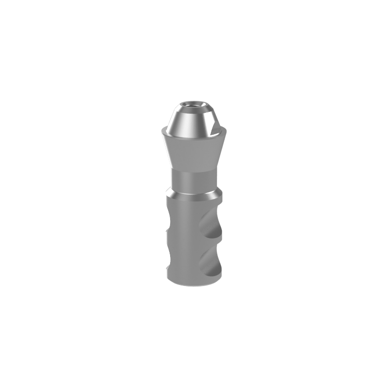 iti substitute_02