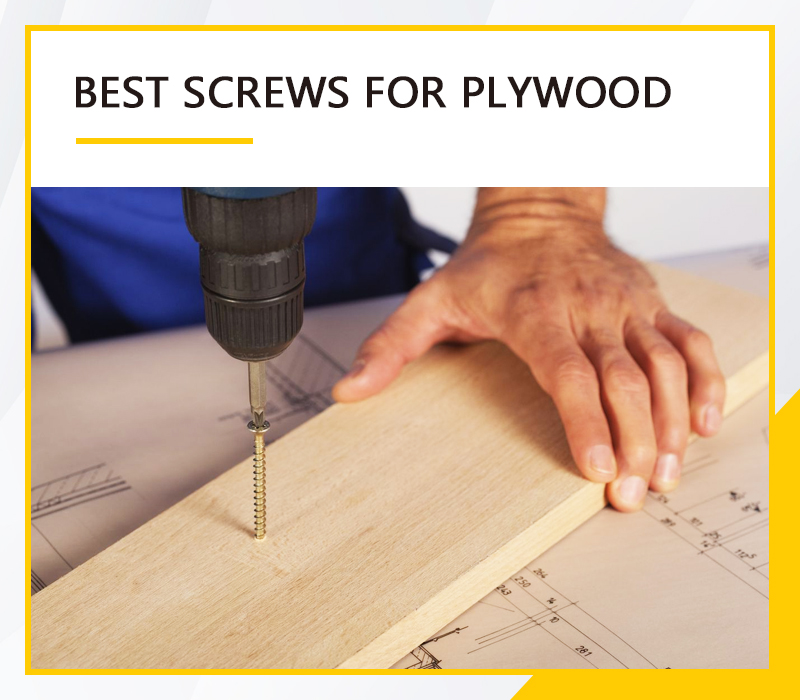 Best Screws For Plywood