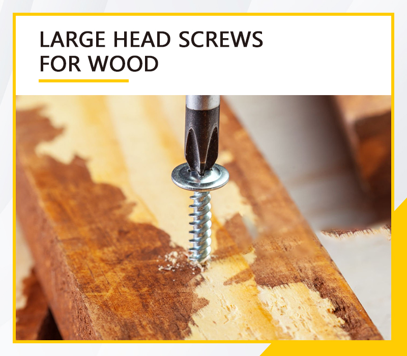 Large Head Screws For Wood