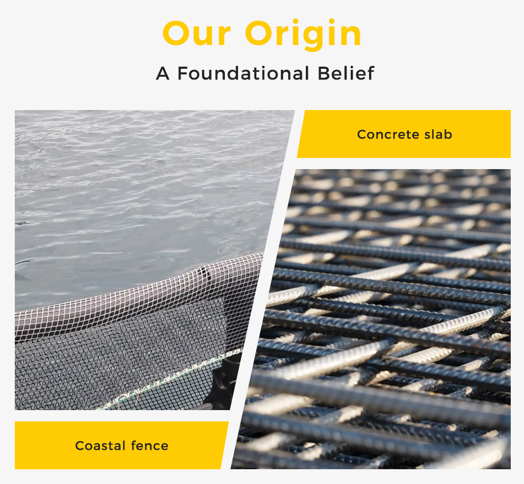 Our Origin A Foundational Belief