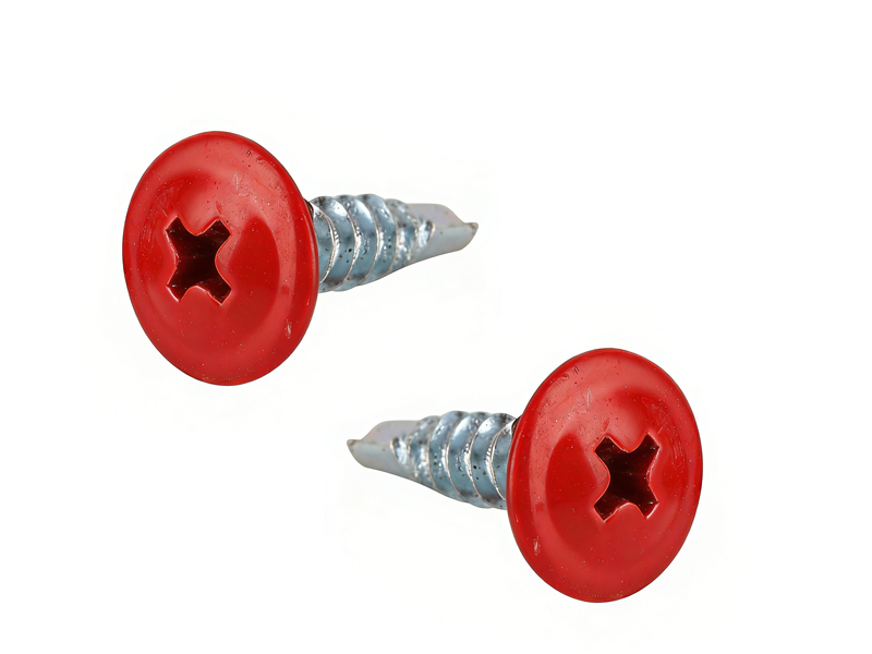 Color Wafer Head Screws