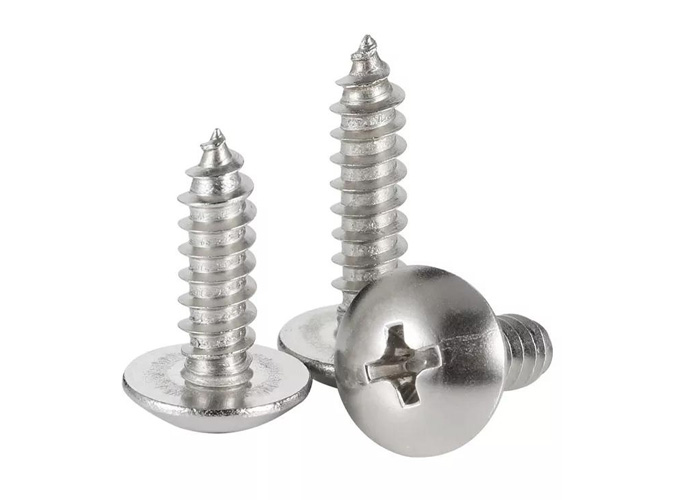 Stainless Steel Pan Head Self Tapping Screws