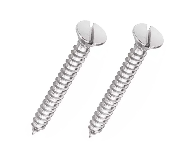 Stainless Steel Slotted Screws