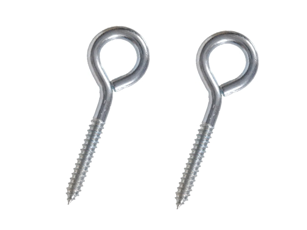 Eye Lag Screws