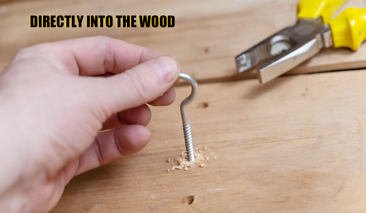 Eye lag screws How Does It Work
