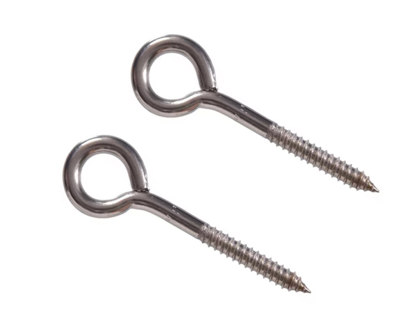 eye lag screws