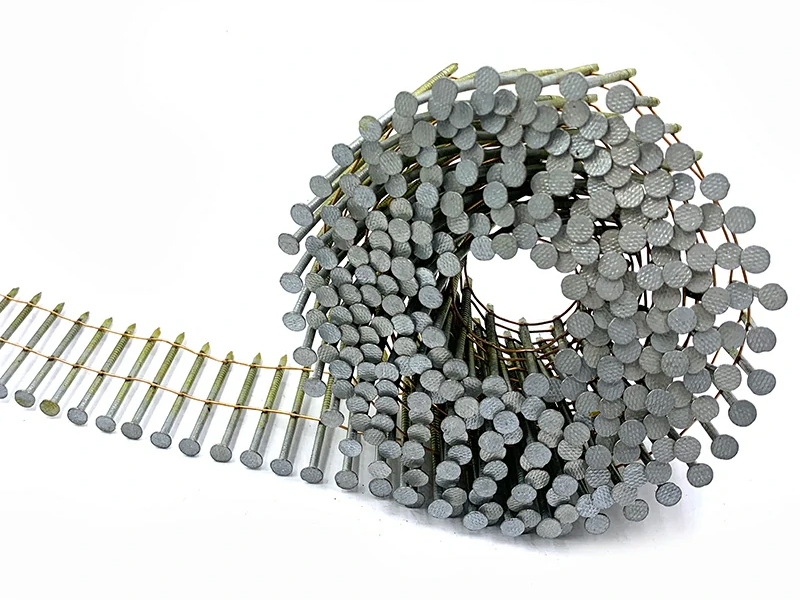 Galvanized Coil Nails