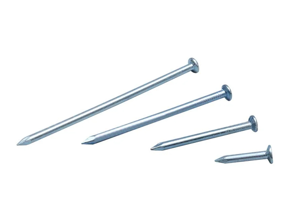 Paku Konkrit Shank Licin Standard