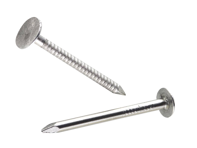 Kuku Cincin Shank 6d