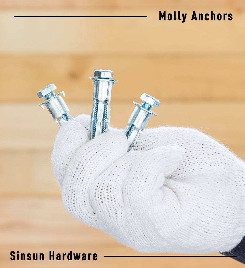 Molly Anchors