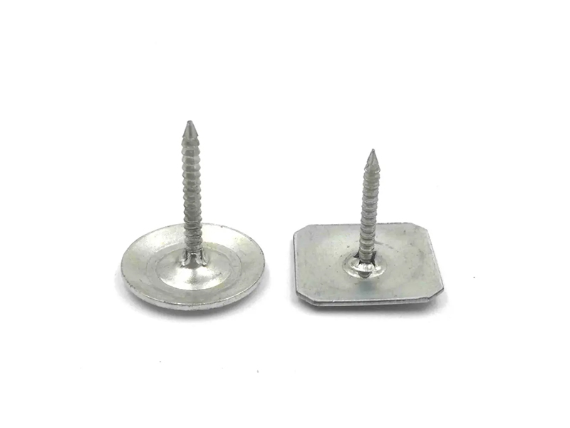 Kuku Cap Shank Cincin