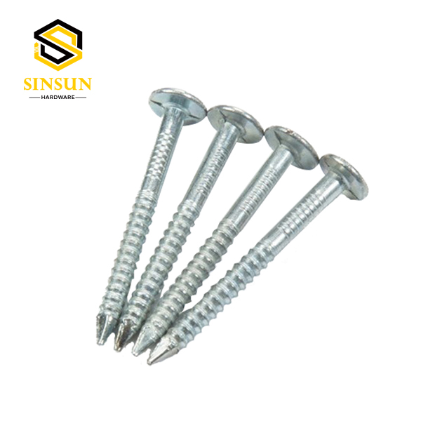Kuku Cincin Shank