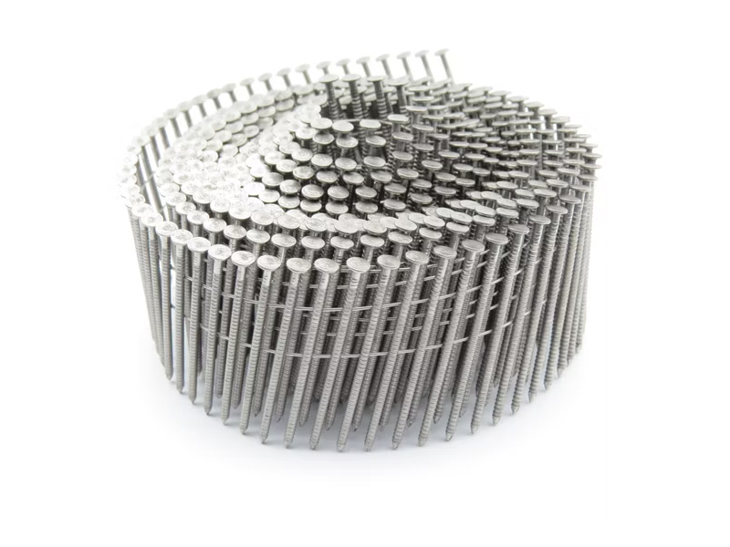 Paku Gegelung Berkolar Dawai Keluli Tahan Karat Ring Shank