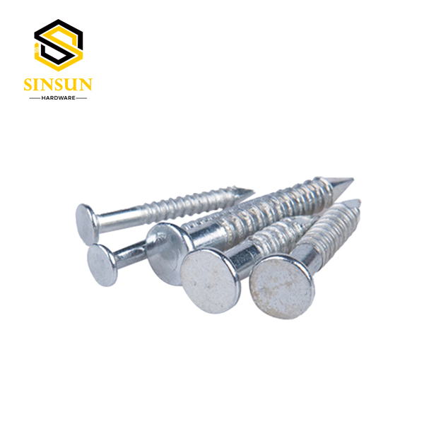 paku bumbung cincin shank