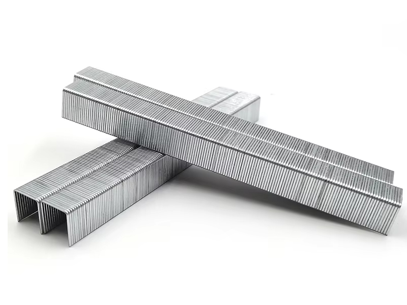 9210 Staples (10mm leg)