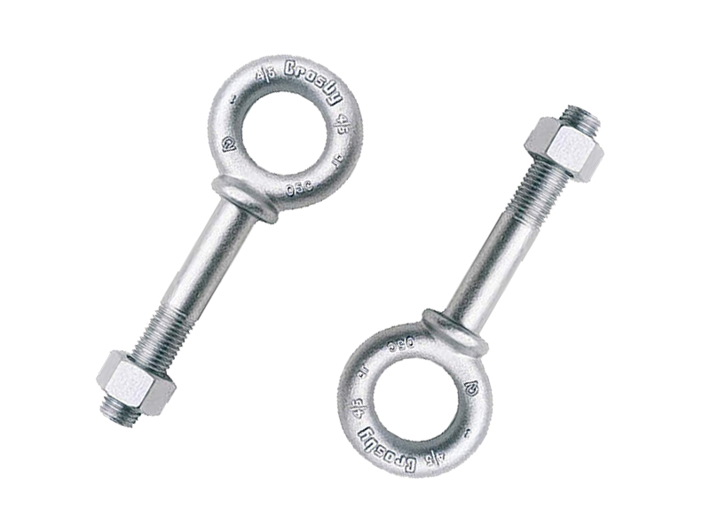 Shoulder Eye Bolts