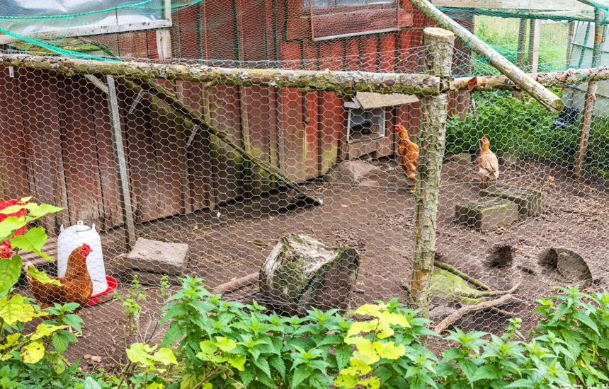 Kooloo Wire Mesh Kɛha Kooloi Akwɛmɔ