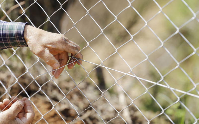 Chicken Wire Mesh For Poultry Runs & Coops